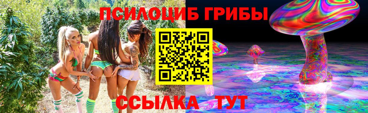 купить  цена  Галлюциногенные грибы MAGIC MUSHROOMS  Псилоцибиновые грибы прущие грибы  Вход с VPN  Строитель 