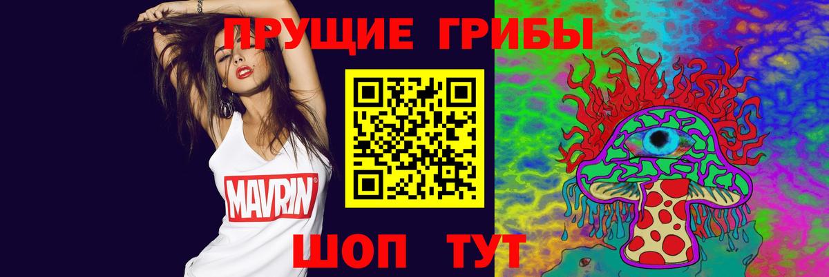 Псилоцибиновые грибы Psilocybe Строитель